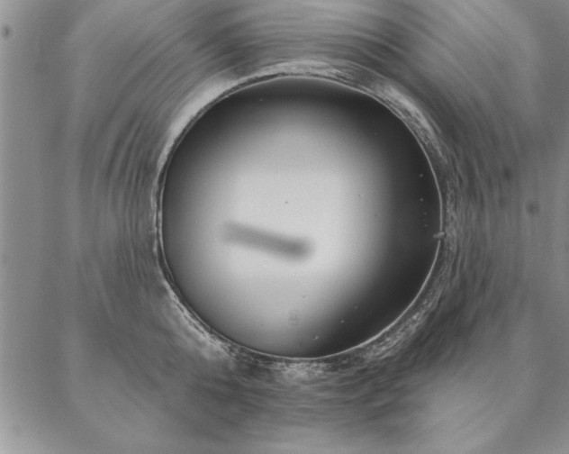 X0000087380808200704271556