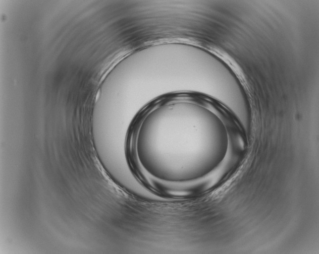 X0000087380809200704271556