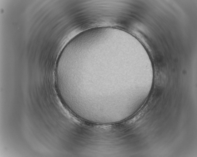 X0000087380810200704271556