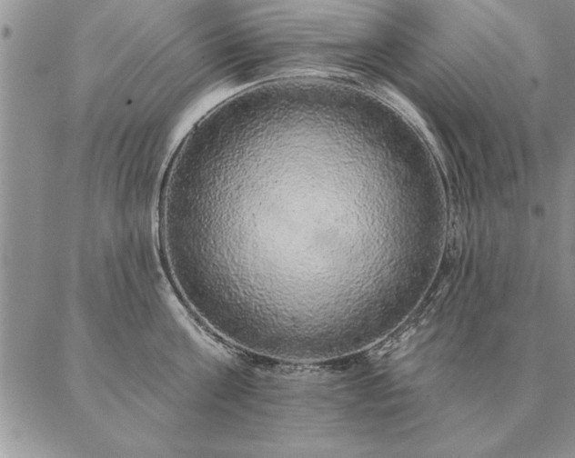 X0000087380811200704271556