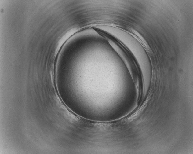 X0000087380812200704271556