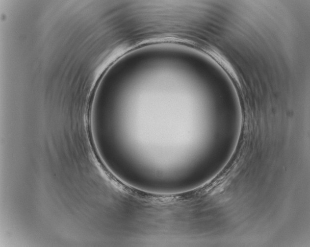 X0000087380813200704271556