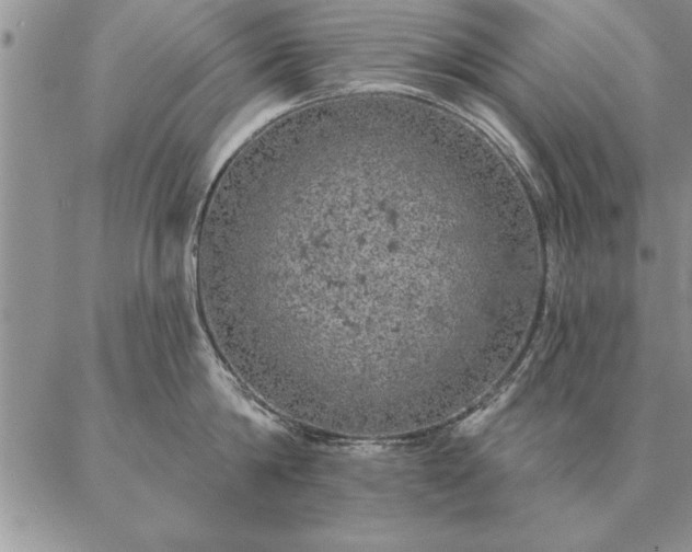 X0000087380814200704271555