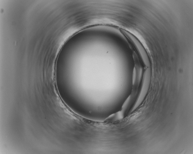 X0000087380815200704271555