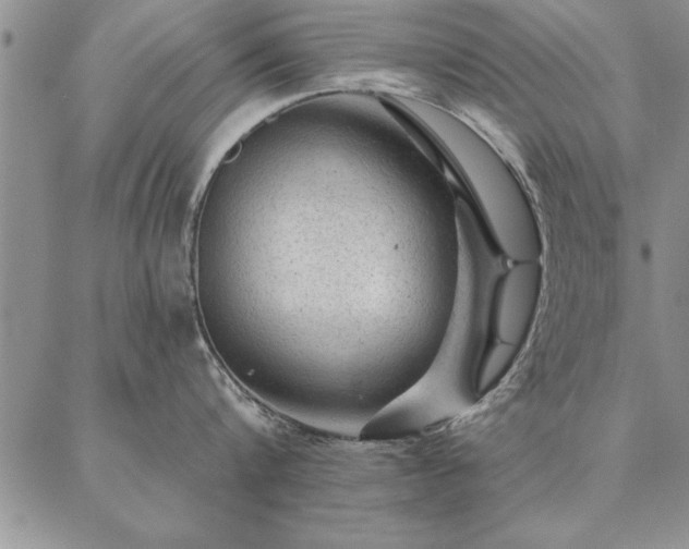 X0000087380816200704271555