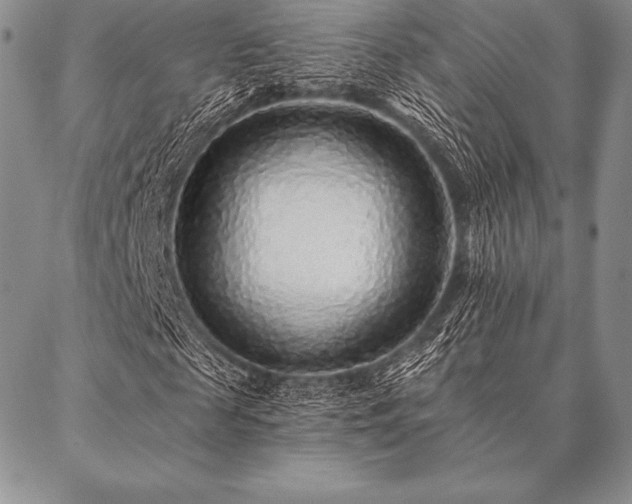 X0000087380817200704271555