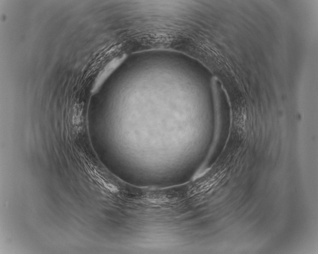 X0000087380818200704271555