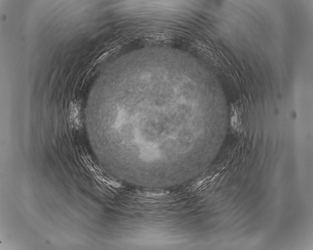 X0000087380819200704271555