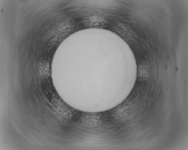 X0000087380820200704271555