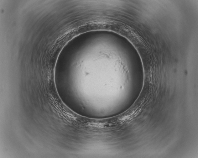 X0000087380821200704271555