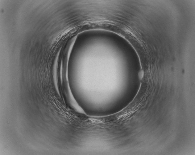 X0000087380822200704271555