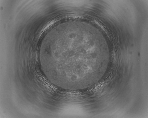 X0000087380823200704271555