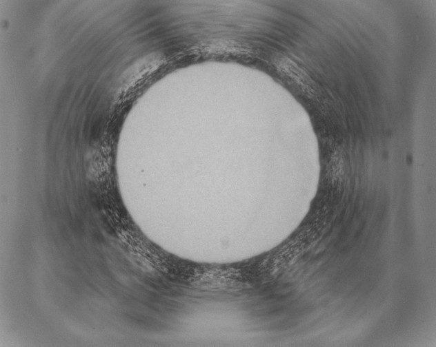 X0000087380824200704271555