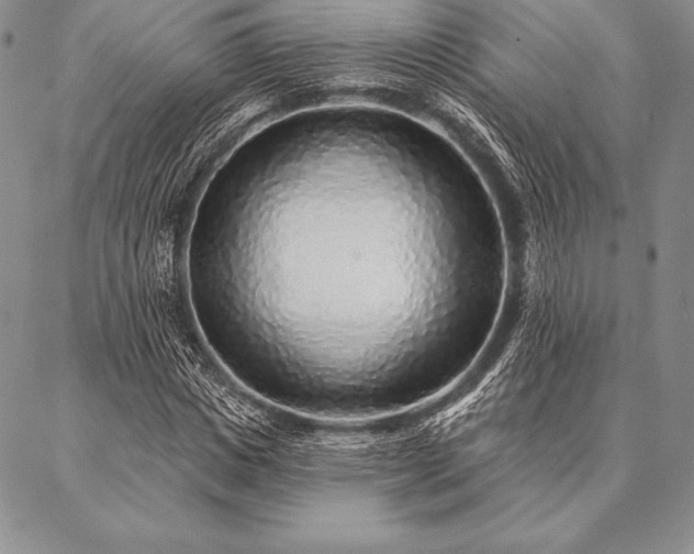 X0000087380825200704271555