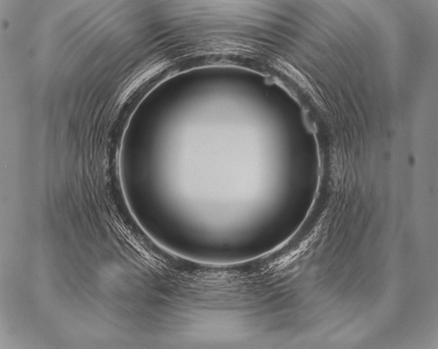 X0000087380826200704271555