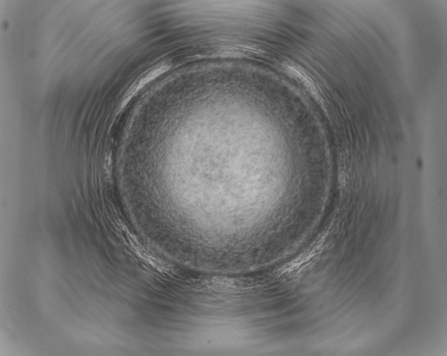 X0000087380827200704271555