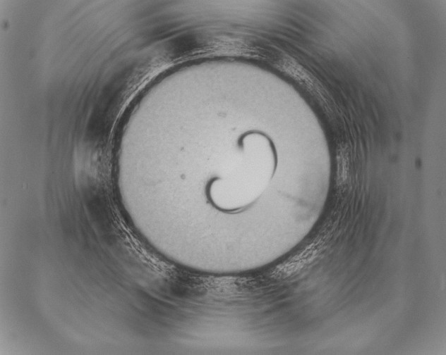 X0000087380828200704271555