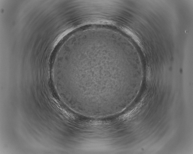 X0000087380829200704271555