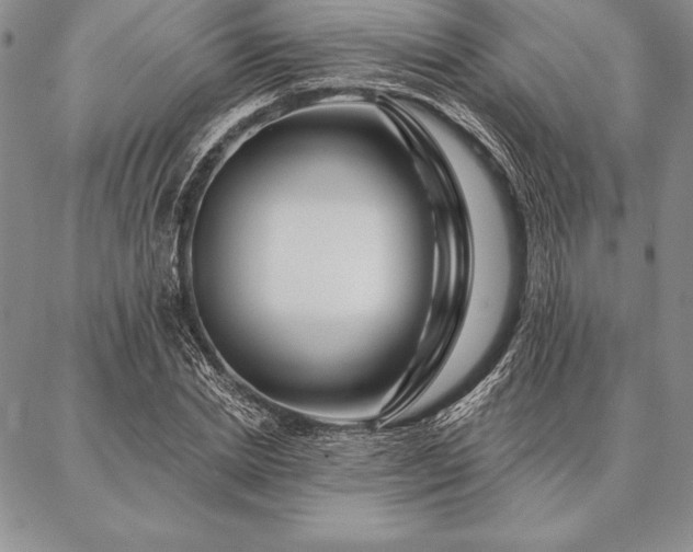 X0000087380830200704271555