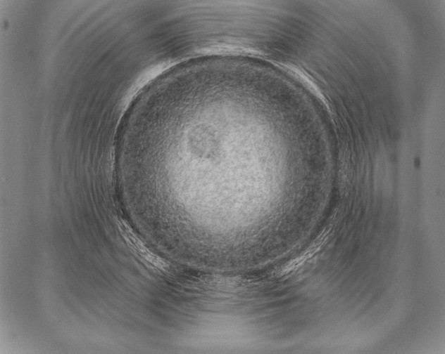 X0000087380831200704271555