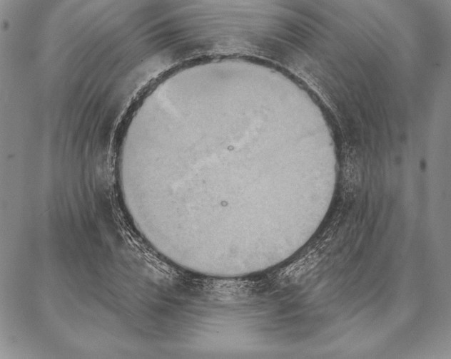 X0000087380832200704271555