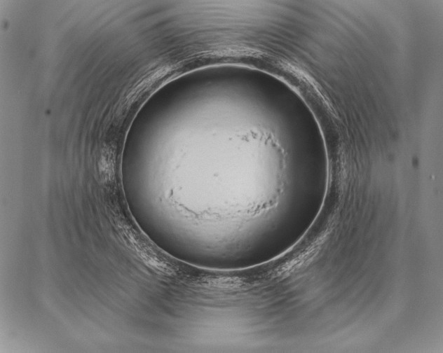 X0000087380833200704271555