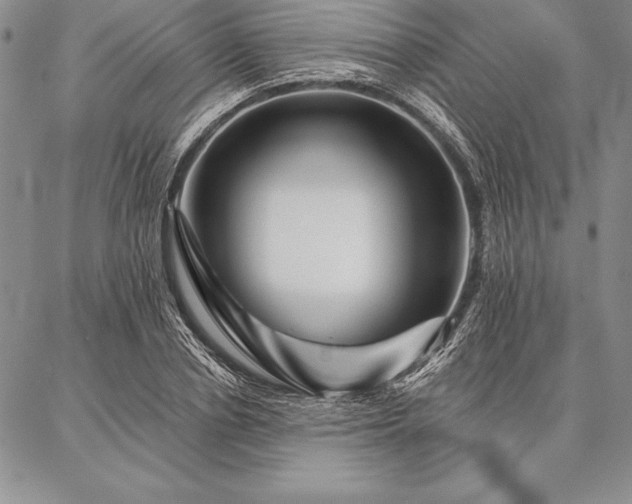 X0000087380834200704271555