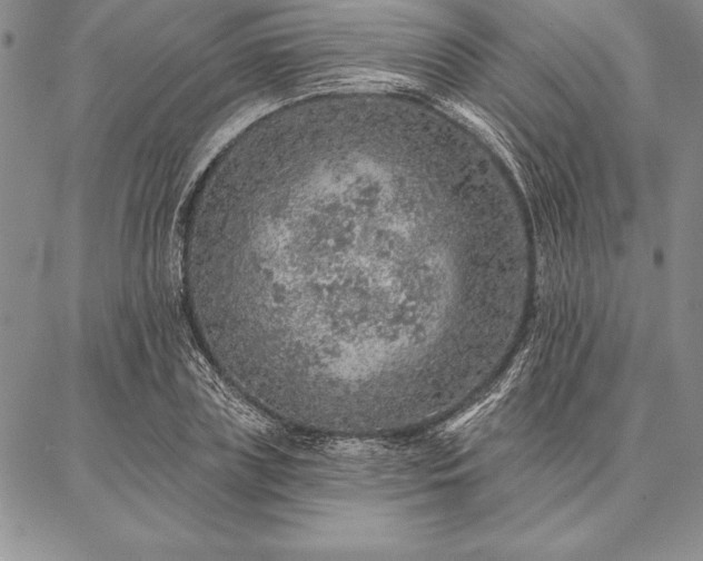 X0000087380835200704271555