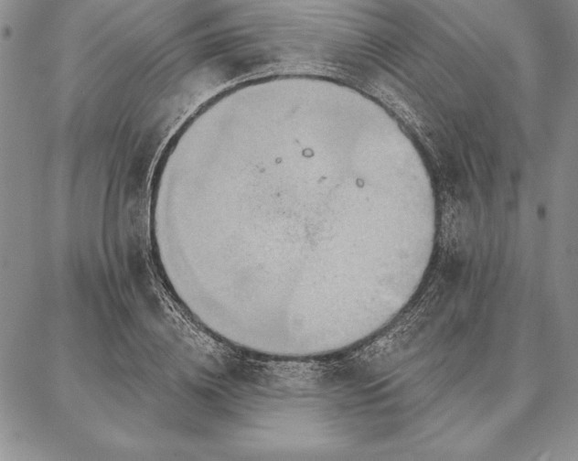 X0000087380836200704271555