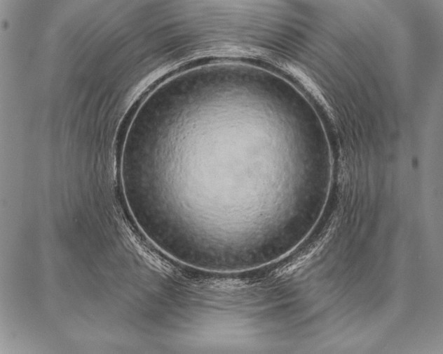 X0000087380837200704271555