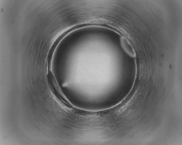 X0000087380838200704271555