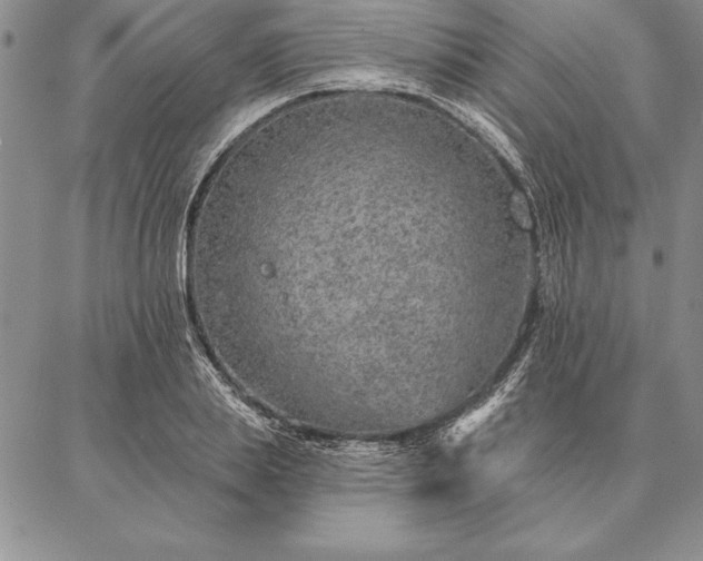 X0000087380839200704271555