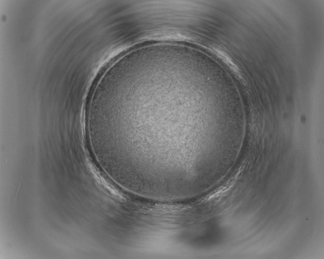 X0000087380840200704271555