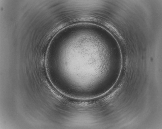 X0000087380841200704271555