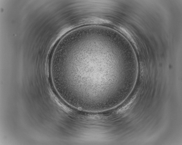 X0000087380843200704271555