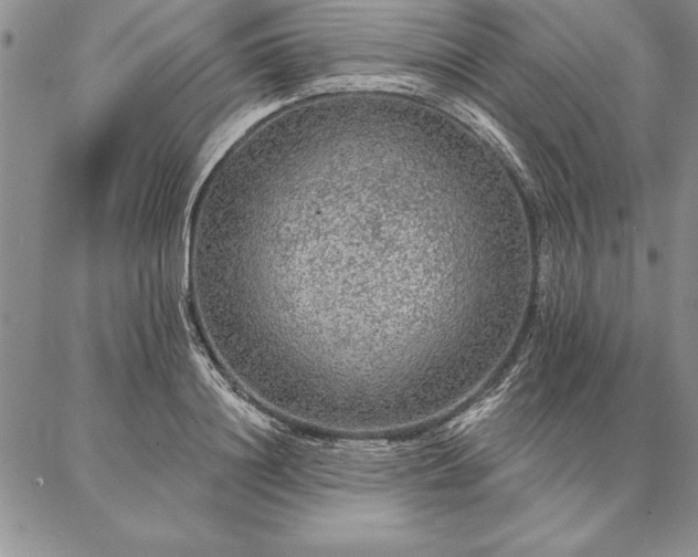 X0000087380844200704271555