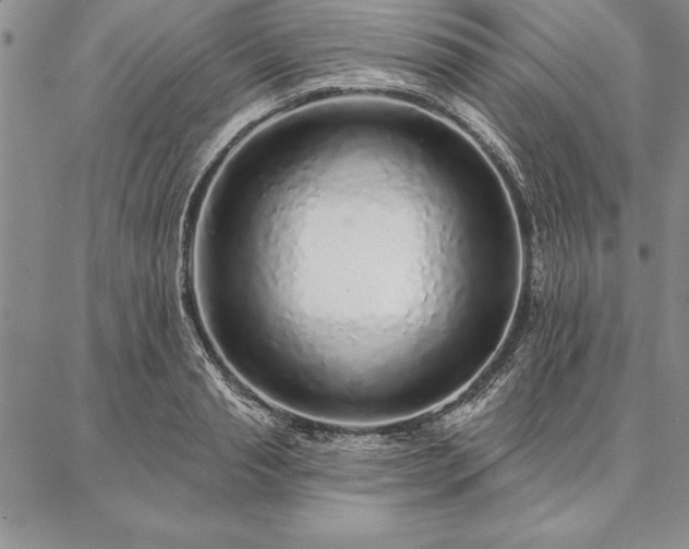 X0000087380845200704271555