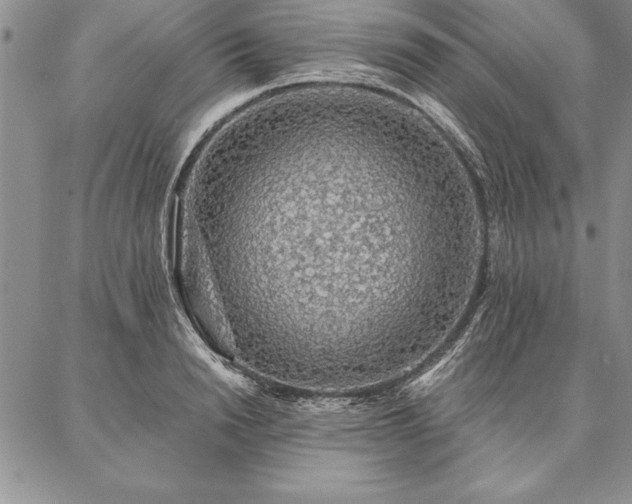 X0000087380846200704271555