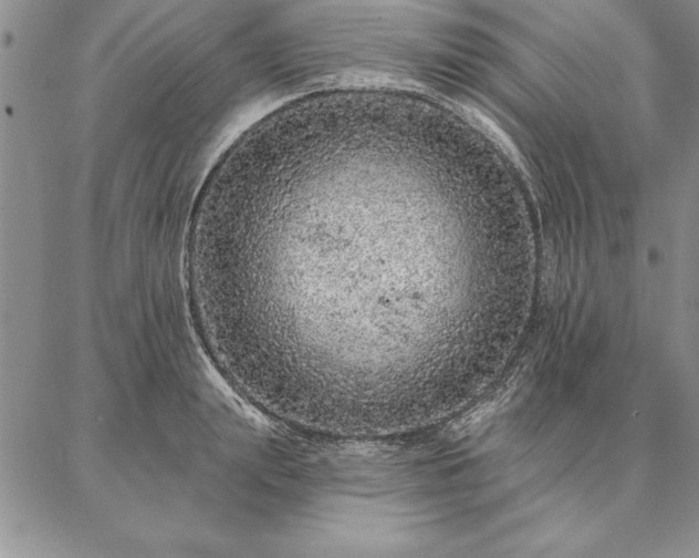 X0000087380847200704271555