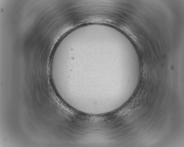 X0000087380848200704271555