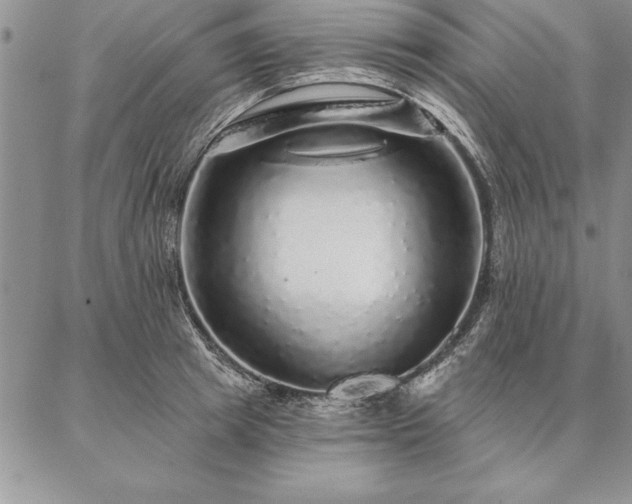 X0000087380849200704271555