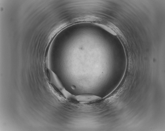 X0000087380850200704271555