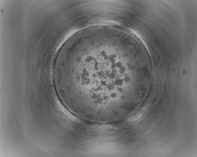 X0000087380851200704271555