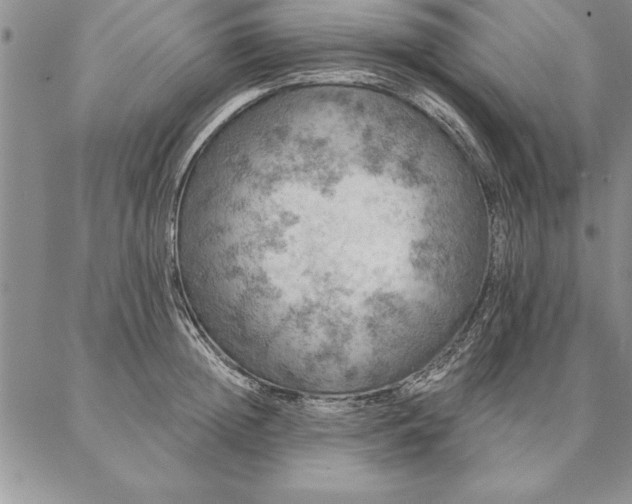 X0000087380852200704271555