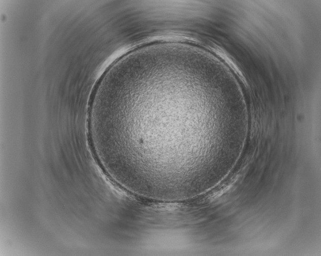 X0000087380853200704271555