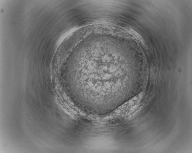 X0000087380854200704271555