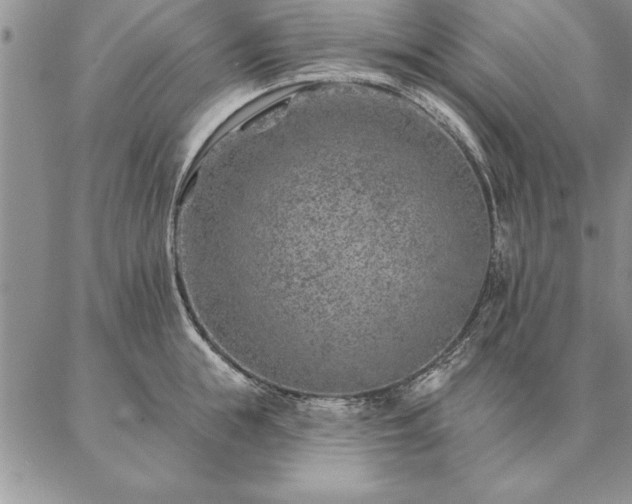 X0000087380855200704271555