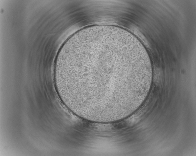 X0000087380856200704271555