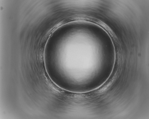 X0000087380857200704271555