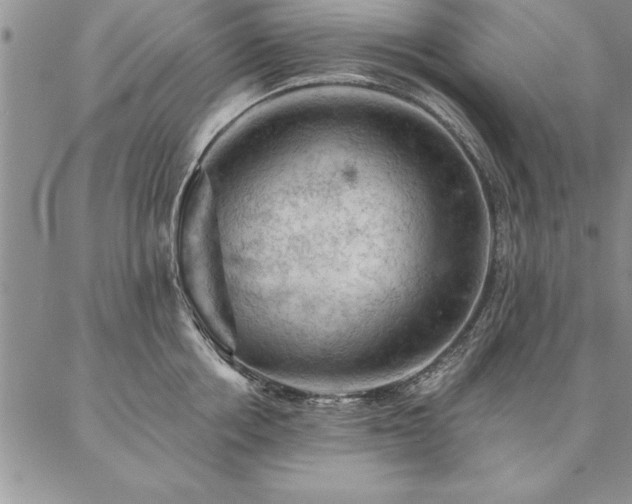 X0000087380858200704271555